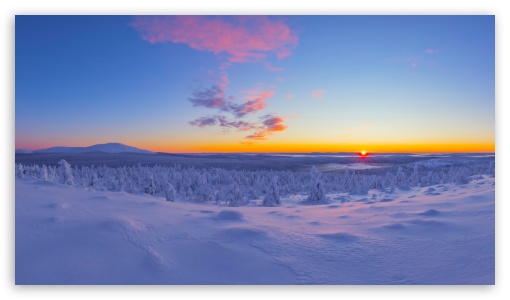 Lapland s Snowy Magic A Winter Scene UltraHD Wallpaper for UHD 16:9 ; HD 16:9 ;