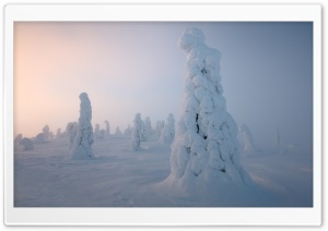 Lapland Winter Ultra HD Wallpaper for 4K UHD Widescreen desktop, tablet & smartphone