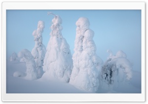 Lapland Winter Snow Ultra HD Wallpaper for 4K UHD Widescreen desktop, tablet & smartphone
