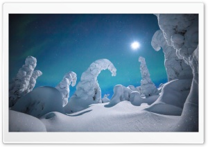 Lapland Winter Wonderland Night Ultra HD Wallpaper for 4K UHD Widescreen desktop, tablet & smartphone