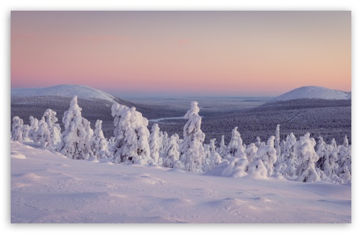 Lapland's Winter Splendor Snowy Fir Trees UltraHD Wallpaper for UHD 16:9 ; HD 16:9 ; UltraWide 21:9 24:10 32:9 32:10 ; Widescreen 16:10 5:3 ; Fullscreen 4:3 5:4 3:2 ; Tablet 1:1 ; Mobile 9:16 9:19.5 9:20 9:21 9:22 10:16 2:3 3:5 3:4 ; Dual 16:10 5:3 16:9 4:3 5:4 3:2 ;