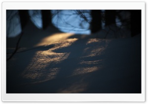 Last Light Ultra HD Wallpaper for 4K UHD Widescreen desktop, tablet & smartphone