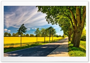 Late Summer Landscape Ultra HD Wallpaper for 4K UHD Widescreen desktop, tablet & smartphone
