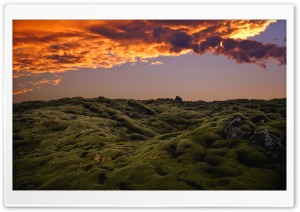 Lava Fields, Iceland Ultra HD Wallpaper for 4K UHD Widescreen desktop, tablet & smartphone