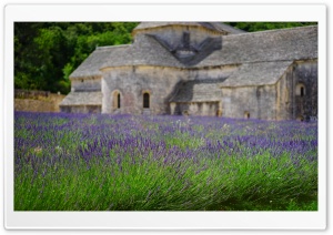 Lavender Garden, Monastery Ultra HD Wallpaper for 4K UHD Widescreen desktop, tablet & smartphone