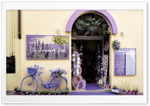Lavender Shop Ultra HD Wallpaper for 4K UHD Widescreen desktop, tablet & smartphone
