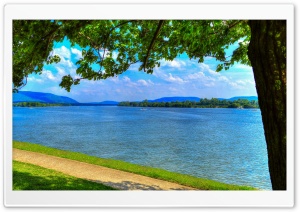 Lazy Days Ultra HD Wallpaper for 4K UHD Widescreen desktop, tablet & smartphone