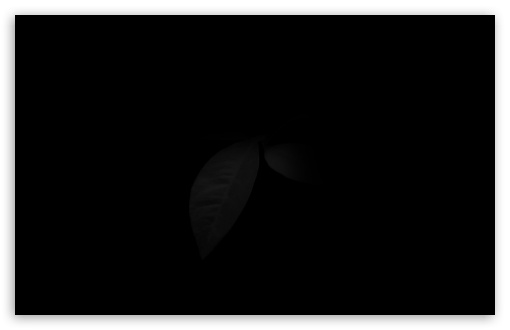 Leaf in Black UltraHD Wallpaper for UHD 16:9 ; HD 16:9 ; UltraWide 21:9 24:10 ; Widescreen 16:10 5:3 ; Fullscreen 4:3 5:4 3:2 ; Tablet 1:1 ;