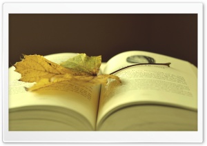 Leaf On A Book Ultra HD Wallpaper for 4K UHD Widescreen desktop, tablet & smartphone