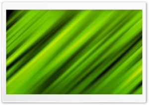 Leafy Green Ultra HD Wallpaper for 4K UHD Widescreen desktop, tablet & smartphone