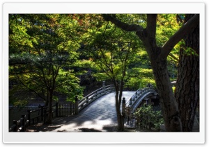 Leaves Over Taikobashi Bridge Ultra HD Wallpaper for 4K UHD Widescreen desktop, tablet & smartphone