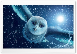 Legend Of The Guardians The Owls Of Ga Hoole Ultra HD Wallpaper for 4K UHD Widescreen desktop, tablet & smartphone