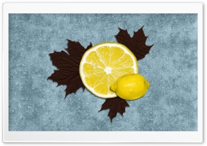 Lemon Ultra HD Wallpaper for 4K UHD Widescreen desktop, tablet & smartphone
