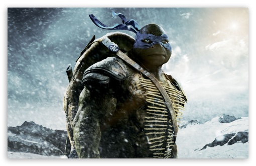 https://hd.wallpaperswide.com/thumbs/leonardo___teenage_mutant_ninja_turtles_2014_movie-t2.jpg