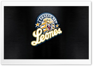Leones del Caracas Ultra HD Wallpaper for 4K UHD Widescreen desktop, tablet & smartphone