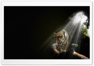 Leopard Listening Music Audio Jungle Ultra HD Wallpaper for 4K UHD Widescreen desktop, tablet & smartphone