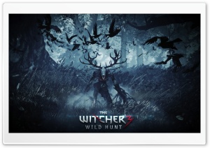 Leshy - The Witcher 3 Wild Hunt Ultra HD Wallpaper for 4K UHD Widescreen desktop, tablet & smartphone