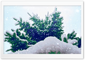 Let it Snow Ultra HD Wallpaper for 4K UHD Widescreen desktop, tablet & smartphone