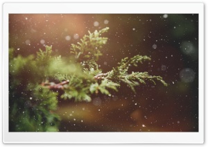 Let It Snow Background Ultra HD Wallpaper for 4K UHD Widescreen desktop, tablet & smartphone