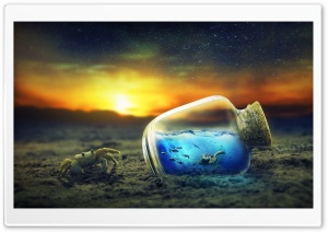 Life in a Bottle Ultra HD Wallpaper for 4K UHD Widescreen desktop, tablet & smartphone