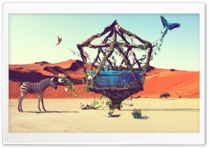 Life in Desert Ultra HD Wallpaper for 4K UHD Widescreen desktop, tablet & smartphone