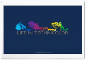 Life In Technicolor Ultra HD Wallpaper for 4K UHD Widescreen desktop, tablet & smartphone
