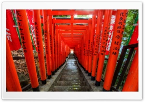 Light at the End of the Torii Ultra HD Wallpaper for 4K UHD Widescreen desktop, tablet & smartphone