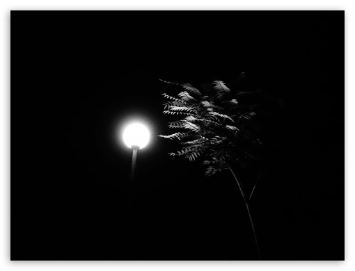 Light in the dark UltraHD Wallpaper for Fullscreen 4:3 ;