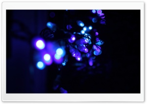 Lights Ultra HD Wallpaper for 4K UHD Widescreen desktop, tablet & smartphone