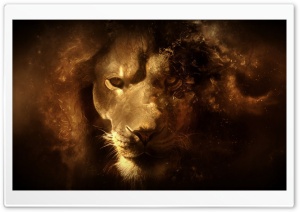 Lion Ultra HD Wallpaper for 4K UHD Widescreen Desktop, Lockscreen, Screensaver, TV, Tablet, Smartphone