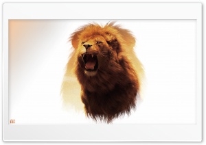 Lion Wallpaper by Yakub Nihat Ultra HD Wallpaper for 4K UHD Widescreen desktop, tablet & smartphone