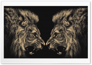 Lions Ultra HD Wallpaper for 4K UHD Widescreen desktop, tablet & smartphone