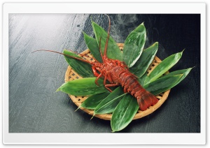 Lobster Dish Ultra HD Wallpaper for 4K UHD Widescreen desktop, tablet & smartphone