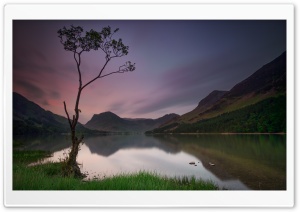 Lone Tree, Lake, Buttermere, England Ultra HD Wallpaper for 4K UHD Widescreen desktop, tablet & smartphone