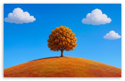 Lone Tree on a Hill in Fall UltraHD Wallpaper for UHD 16:9 ; HD 16:9 ; UltraWide 21:9 24:10 32:9 32:10 ; Widescreen 16:10 ; Tablet 1:1 ; Mobile 9:16 9:19.5 9:20 9:21 9:22 ; Dual 16:10 16:9 ;