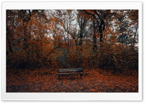 Lonely Bench Ultra HD Wallpaper for 4K UHD Widescreen Desktop, Lockscreen, Screensaver, TV, Tablet, Smartphone