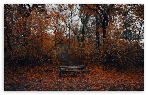 Lonely Bench UltraHD Wallpaper for UHD 16:9 ; HD 16:9 ; UltraWide 21:9 24:10 32:9 32:10 ; Widescreen 16:10 5:3 ; Fullscreen 4:3 5:4 3:2 ; Tablet 1:1 ; Mobile 9:16 9:19.5 9:20 9:21 9:22 10:16 2:3 3:5 3:4 ; Dual 16:10 5:3 16:9 4:3 5:4 3:2 ;