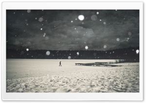 Lonely Winter Ultra HD Wallpaper for 4K UHD Widescreen desktop, tablet & smartphone