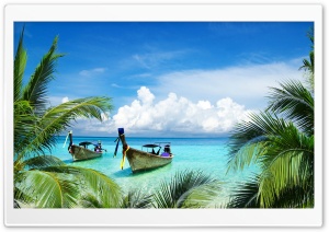 Long Tail Boats, Tropical Beach, Palm Trees Leaves Ultra HD Wallpaper for 4K UHD Widescreen desktop, tablet & smartphone