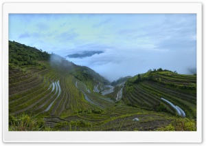 Longsheng Rice Terrace Ultra HD Wallpaper for 4K UHD Widescreen desktop, tablet & smartphone