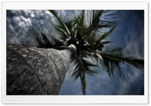 Look Up Ultra HD Wallpaper for 4K UHD Widescreen desktop, tablet & smartphone