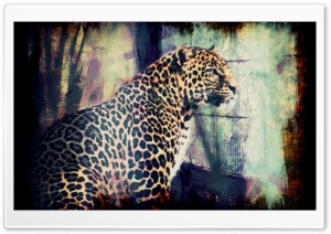 Lory Park Leopard Ultra HD Wallpaper for 4K UHD Widescreen desktop, tablet & smartphone