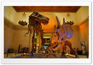 Los Angeles, Natural History Museum Ultra HD Wallpaper for 4K UHD Widescreen desktop, tablet & smartphone