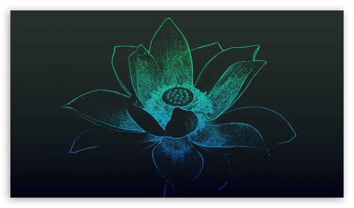 Lotus Flower UltraHD Wallpaper for UHD 16:9 2160p 1440p 1080p 900p 720p ; 8K UHD TV 16:9 Ultra High Definition 2160p 1440p 1080p 900p 720p ;