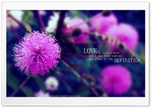 Love Definition Ultra HD Wallpaper for 4K UHD Widescreen desktop, tablet & smartphone