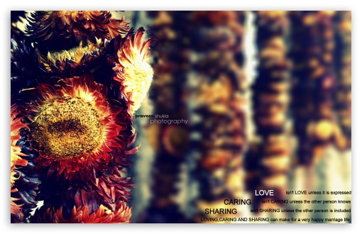 love marriage UltraHD Wallpaper for Widescreen 16:10 ;