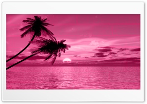 Love on Pink Ultra HD Wallpaper for 4K UHD Widescreen desktop, tablet & smartphone