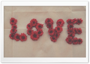 Love, Red Mum Flowers, Old Paper Ultra HD Wallpaper for 4K UHD Widescreen desktop, tablet & smartphone