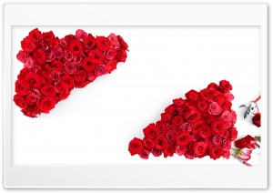 Love Red Roses Ultra HD Wallpaper for 4K UHD Widescreen desktop, tablet & smartphone