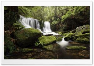 Lush Rainforest Waterfall Ultra HD Wallpaper for 4K UHD Widescreen Desktop, Lockscreen, Screensaver, TV, Tablet, Smartphone